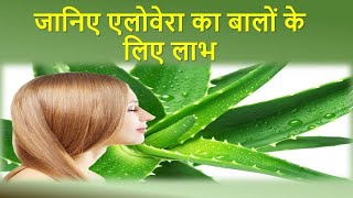 jhadate balon ke liye aloevera ke chamatkari gunaloe verakebenefit [upl. by Tik476]