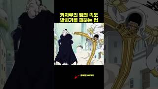 빛의 속도 발차기를 피하는 방법 키자루 물리학 원피스 [upl. by Ettenay]