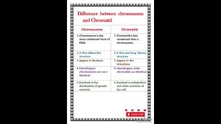 Difference between chromosome and chromatid [upl. by Auqinat]