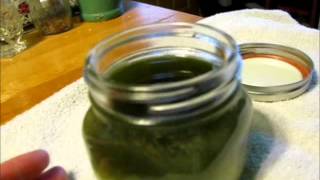 Chickweed Plantain and Comfrey Salve pt 2 [upl. by Wilburt]