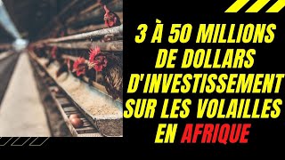 OFFRE DINVESTISSEMENT DE VOLAILLES EN AFRIQUE 3 À 50 MILLIONS DE DOLLARS DINVESTISSEMENT [upl. by Aon902]