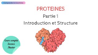 PROTÉINES  INTRODUCTION ET STRUCTURE  Biochimie Facile [upl. by Hwang]