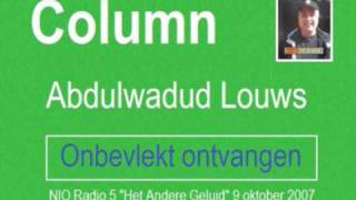 Onbevlekt ontvangen column wwwabdulwadudnl [upl. by Sephira]