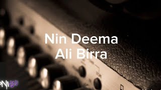 Ali Birra  Nin Deema lyrics  ቀNI lyrics [upl. by Marashio953]