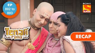 Tenali Rama  तेनाली रामा  Ep 802 amp Ep 803 RECAP [upl. by Dennet]