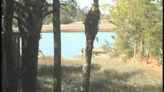 46 Inlet Cove Kiawah 46 Sunlet Bend [upl. by Gerson]