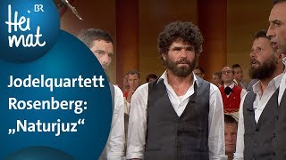 Jodelquartett Rosenberg Naturjuz  Musikantentreffen  BR Heimat  die beste Volksmusik [upl. by Rexana]