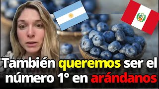 Argentinos asombrados con los arándanos peruanos [upl. by Augusta129]