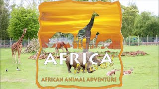 AFRICA ALIVE  Zoo in Kessingland England [upl. by Spears]