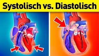 Systolischer vs Diastolischer Blutdruck Was ist der Unterschied [upl. by Raseda249]