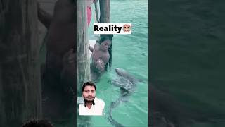 funny adventurereality travel animals comedy explore nature socialmedia adventure memes [upl. by Anetsirhc]