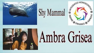 Shy Mammal  Ambra Grisea [upl. by Ecnerwaled874]