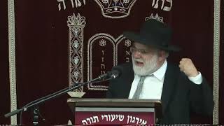 Attaining Real Simchas Hachaim  Rabbi Moshe Weinberger [upl. by Siuqram]