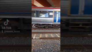 Adelaide Metro 3140  3139 depart Ovingham shorts seb trains train adelaidemetro fypシ゚viral [upl. by Roshelle]