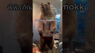 น้องหมี Jokkmokk Museum Shorts [upl. by Meaghan774]