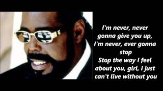 Barry White Never Never Gonna Give You Up Lyrics [upl. by Lenra]