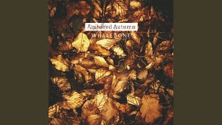 Ambered Autumn [upl. by Macfadyn]