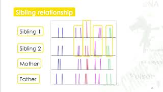 Forensic Science  43 DNA Short Tandem Repeats STR Colin Pitchfork Case [upl. by Kristan]