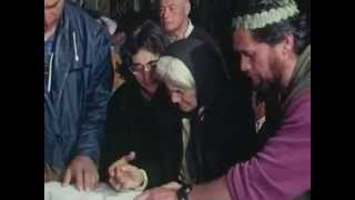 Signing the Memorial of Right  1975 Matakite Maori Land March [upl. by Uokes]