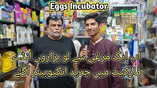 The Best Incubator For Hatching Eggs  Imported Incubator At MB Trader Nazimabad Karachi  Pets [upl. by Laehcym208]