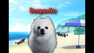 Despacito  gabe cover [upl. by Ainaznat575]