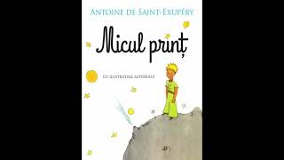 Micul PrintAntoine de Saint Exupery [upl. by Eiramrebma853]