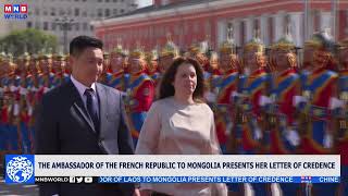 News Mongolia  20240920 [upl. by Names]