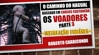 Carlos Castaneda  O que são os voadores e a Instalação Forânea Parte 3 [upl. by Assiron]