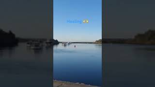 Myall Lakes 🫶 travel vlog healing [upl. by Goth377]