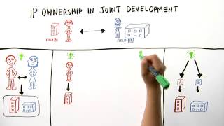 IP Ownership in Joint Development [upl. by Hazmah]