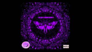 Lil Wayne  Trippy Ft Juicy J Screwed amp Chopped  I Am Not A Human Being 2 S amp C Mixtape [upl. by Rolandson310]