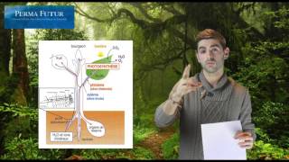 Biologie végétale  Comprendre les plantes [upl. by Leshia]