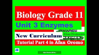 New Curriculum Biology Grade 11 Unit 3 Enzyme Tutorial Part 4 in Afan Oromo correction Q 6 True [upl. by Nahtnoj]