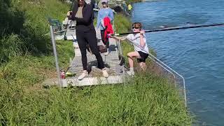 Sockeye salmon fishing on Alaskas Kenai River [upl. by Mehsah]