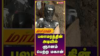 பலாமரத்தின் அடியில் ஞானம் பெற்ற மகான் SivanandaMounaGuruSwamigal Marmam VasanthTV Shorts [upl. by Hartill]