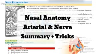 Nasal Anatomy Arterial amp Nerve Summary Tricks [upl. by Ikilisav860]