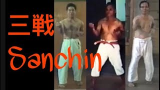 Sanchin Kata  Demonstrated By Each Okinawan Karate Style [upl. by Bernete]