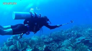 Diving in Belize 1 [upl. by Ajuna]