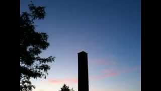 Chimney swifts in Wolfville [upl. by Rosabella110]