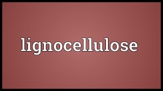 Lignocellulose Meaning [upl. by Enaj63]