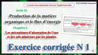 Exercice corrigée N1Mécanismes d’absorption de l’eau et des sels minéraux par les plantes [upl. by Diamond]