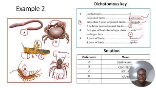 IGCSE BIOLOGY  DICHOTOMOUS KEY [upl. by Phemia]