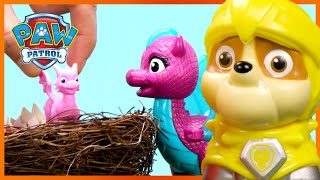 PAW Rescue Knights Save Baby Dragons amp More 🏰  PAW Patrol Compilation  Toy Pretend Play for Kids [upl. by Fritz]