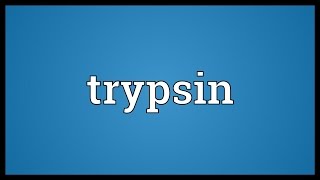 Trypsin Meaning [upl. by Ettesus578]