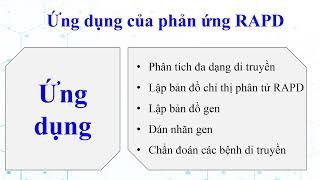 Kỹ thuật RT PCR và RAPD [upl. by Nosyt]