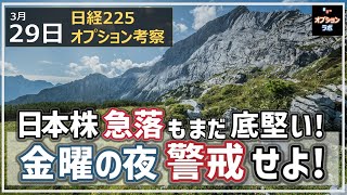 【日経225オプション考察】329 日本株 急落もまだ底堅い！ 金曜の夜 ボラティリティ高に警戒せよ！ [upl. by Vania73]