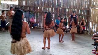 Baile Ancestral Indígena Comuna Muyuna  Puerto MISAHUALLI Oriente Ecuatoriano [upl. by Accem]