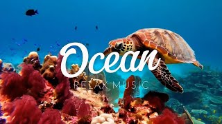 4K Relaxing Underwater Wonders  Calming Ocean Music with Sea Animals for Deep Relaxation [upl. by Michon]