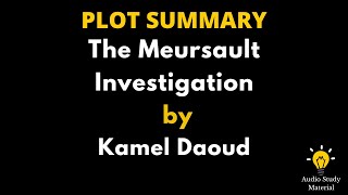 Plot Summary Of The Meursault Investigation By Kamel Daoud  The Meursault Investigation [upl. by Bara32]