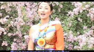 Markham Tibetan Song by 15 Lhamo སྨར་ཁམས་གཞས། [upl. by Yelknirb]